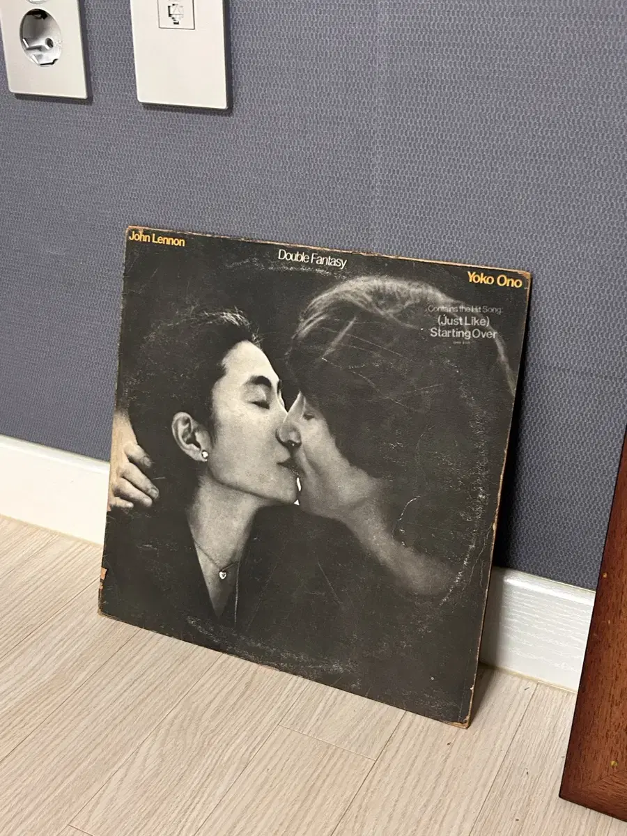 John Lennon - Double Fantasy LP 바이닐 엘피